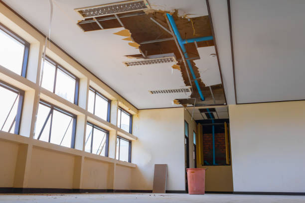 Best Water damage restoration near me  in Lake Mack Forest Hills, FL