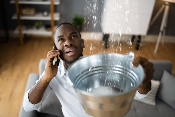 Best Water damage cleanup near me  in Lake Mack Forest Hills, FL