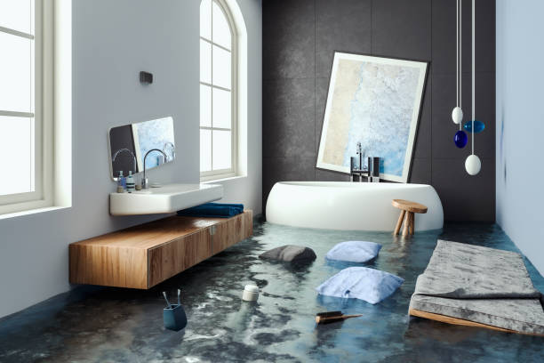 Best Mold removal after water damage  in Lake Mack Forest Hills, FL