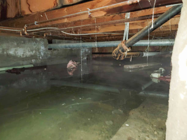Best Water damage restoration insurance claims  in Lake Mack Forest Hills, FL