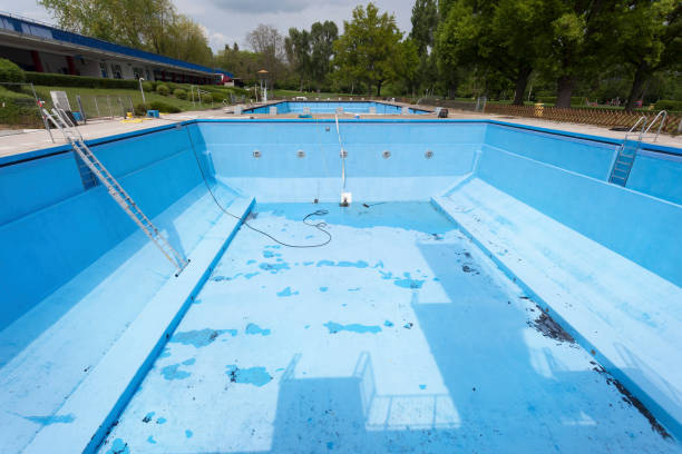 Best Basement water damage restoration  in Lake Mack Forest Hills, FL