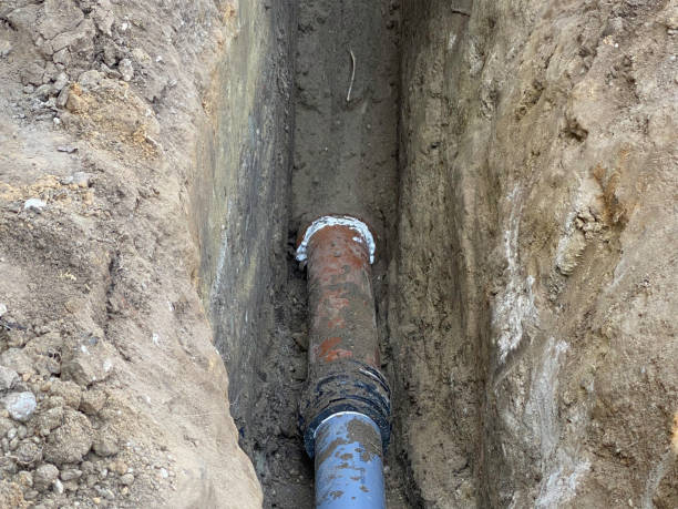 Best 24/7 water damage repair  in Lake Mack Forest Hills, FL