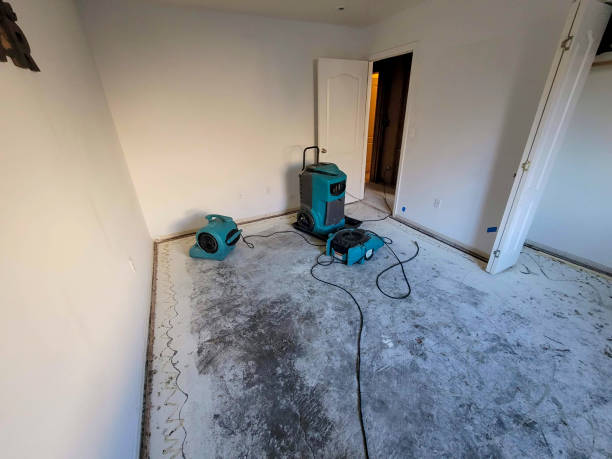 Best Water damage contractors near me  in Lake Mack Forest Hills, FL