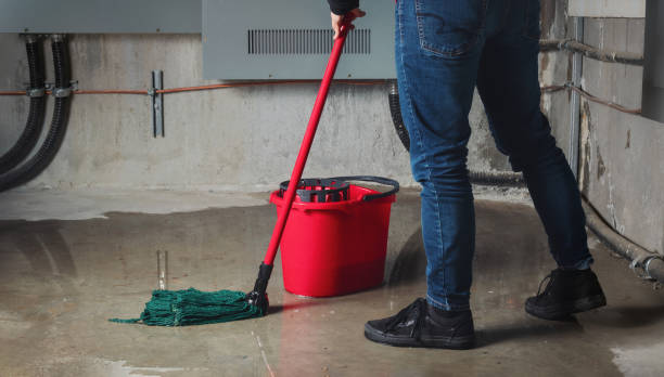 Best Fire Damage Restoration  in Lake Mack Forest Hills, FL