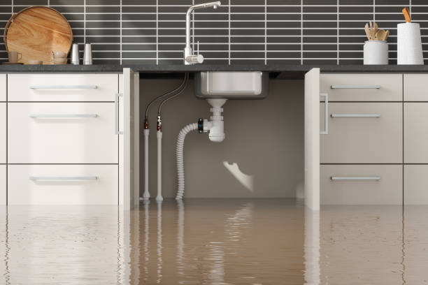 Best Flood restoration services  in Lake Mack Forest Hills, FL