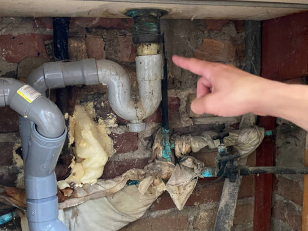 Best Residential water damage restoration  in Lake Mack Forest Hills, FL