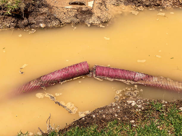 Best Emergency water damage restoration  in Lake Mack Forest Hills, FL