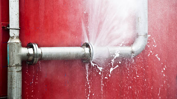 Best Water damage restoration process  in Lake Mack Forest Hills, FL